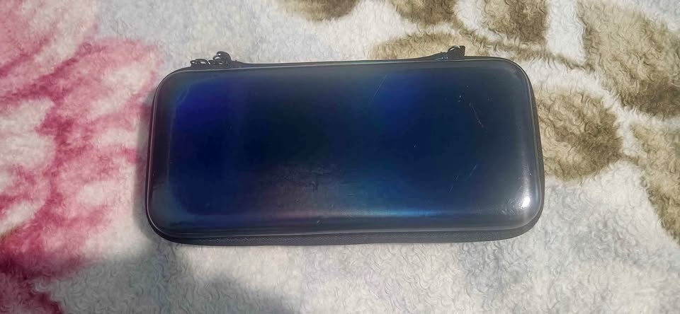 Nintendo Switch Case