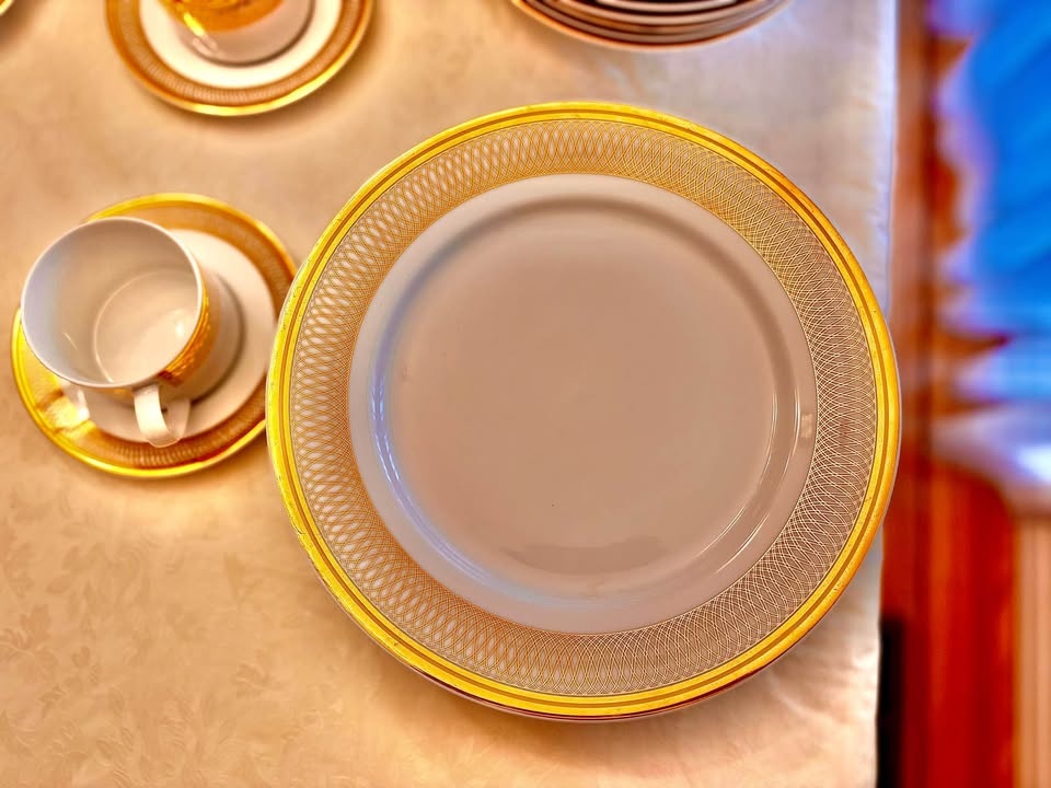Elegant 43-Piece White & Gold Dinnerware Set - photo 3
