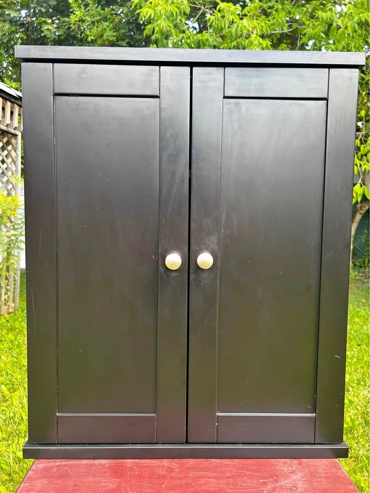 Medicine Cabinet Brown