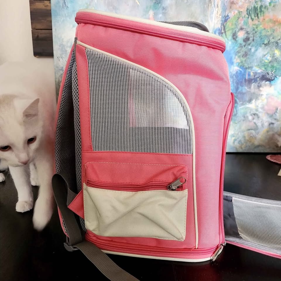 Cat/Dog Carrier - photo 2