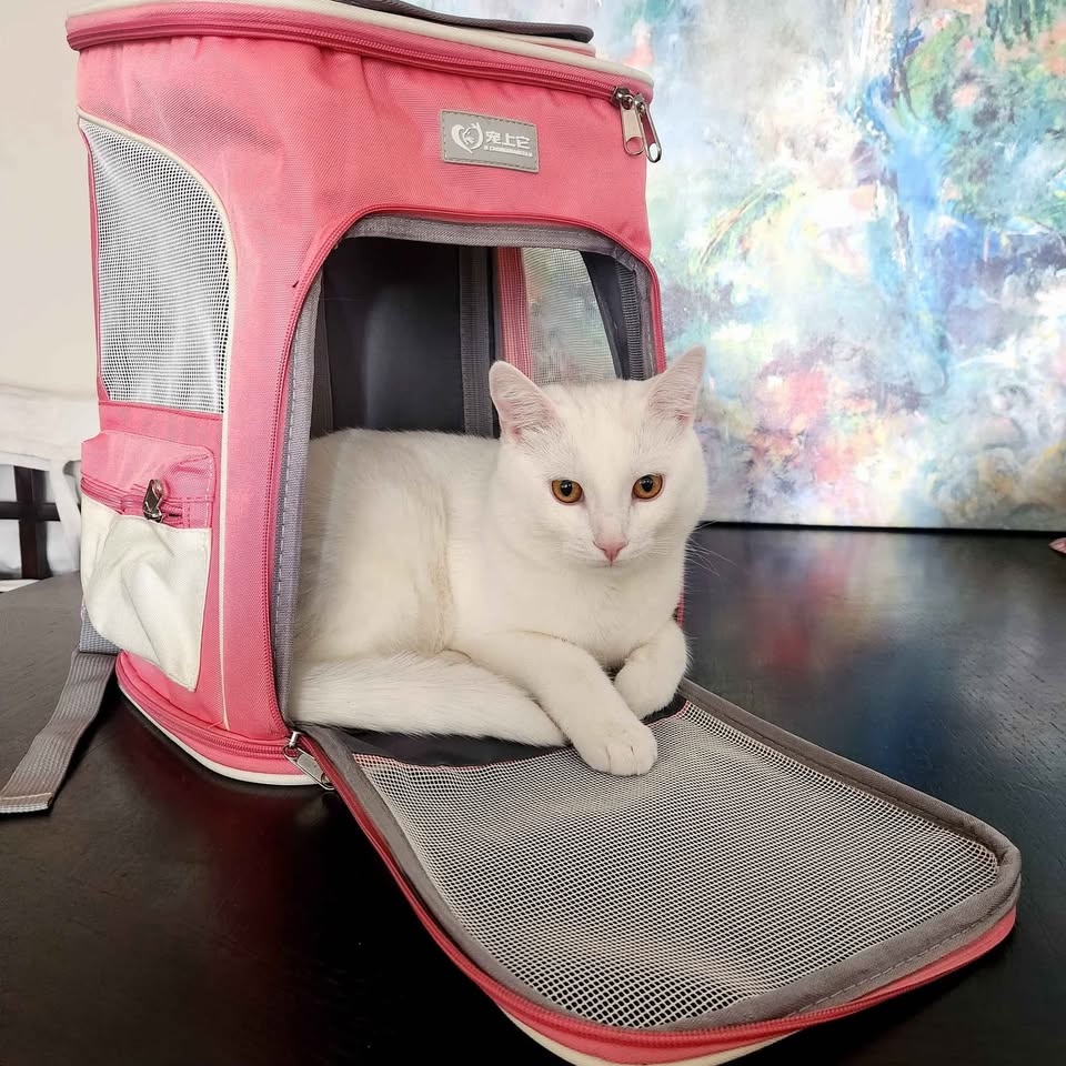 Cat/Dog Carrier - photo 3