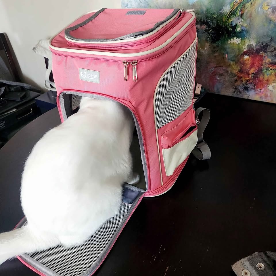 Cat/Dog Carrier - photo 5