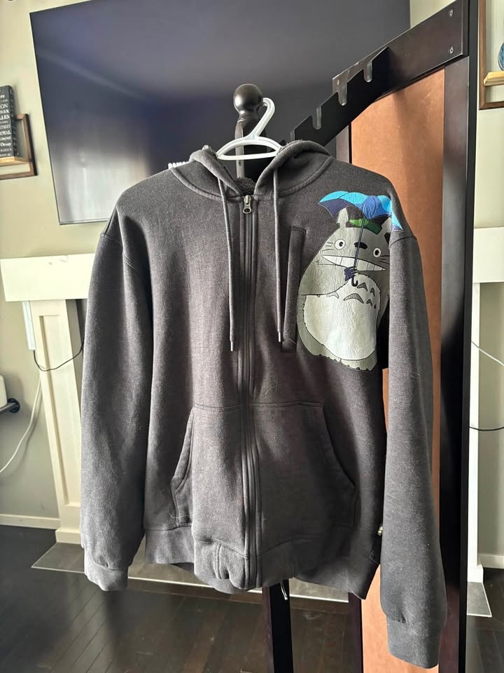 Totoro Sweater - $20