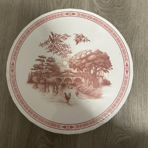 BLUE STALLION FARM Luxurious Salad Plates Set of 4 Orange
