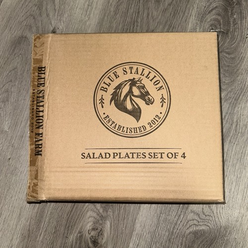 BLUE STALLION FARM Luxurious Salad Plates Set of 4 Orange - photo 5