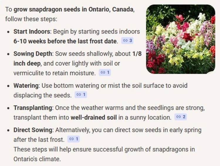 Apple Blossom Snapdragon seeds @Mississauga - photo 2