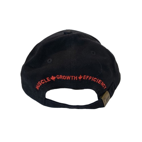 Limousine Hat Cap - photo 2