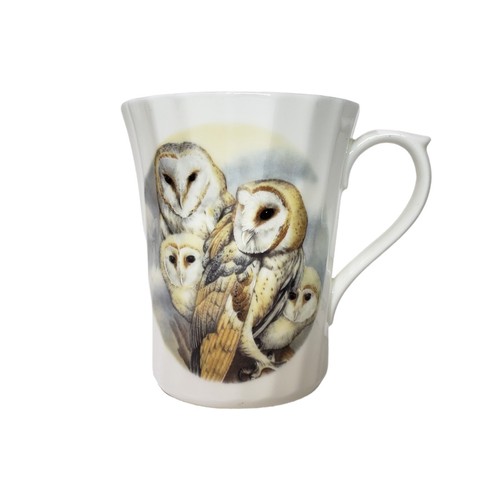 Royal Stuart Owls Grandpa Bone China Tea Cup/Coffee Mug