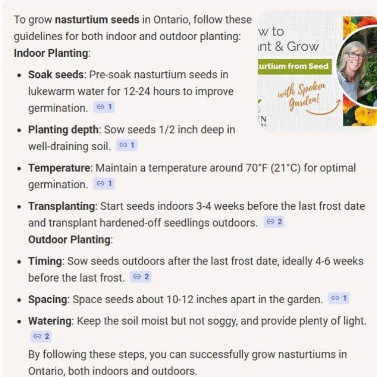 Nasturtium seeds @ Mississauga - photo 2