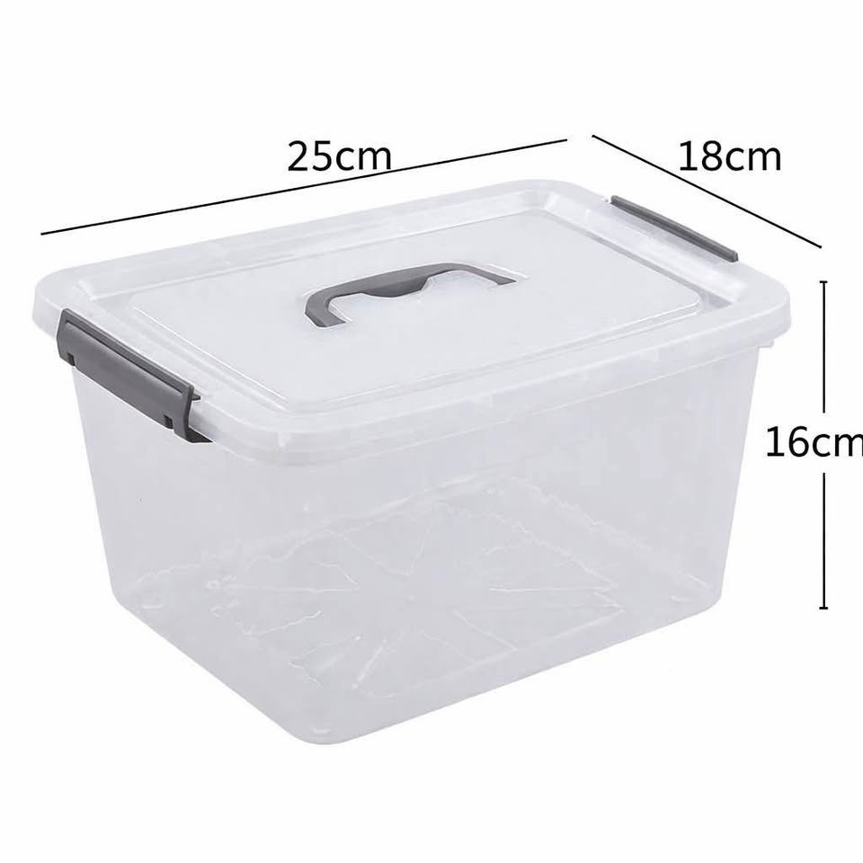 Clear Plastic Storage Boxes with Lids - Set of 6