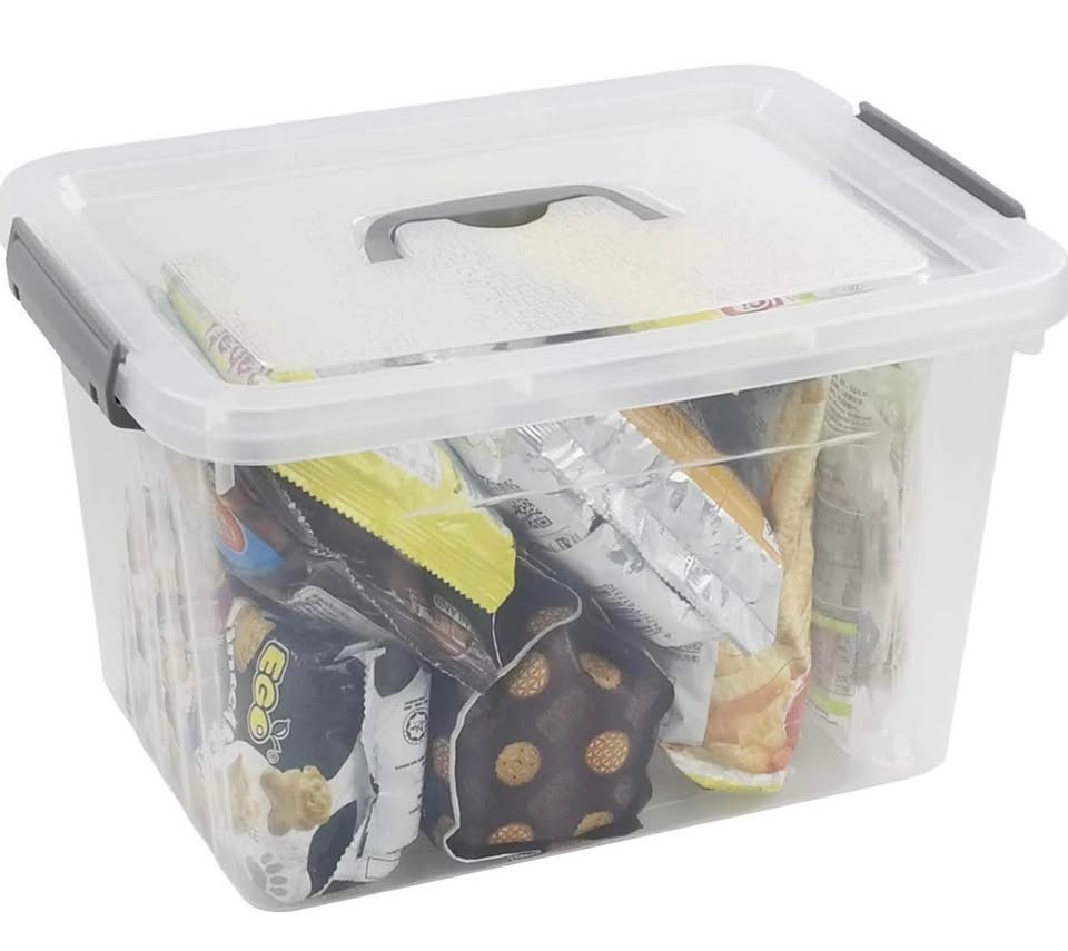 Clear Plastic Storage Boxes with Lids - Set of 6 - photo 3