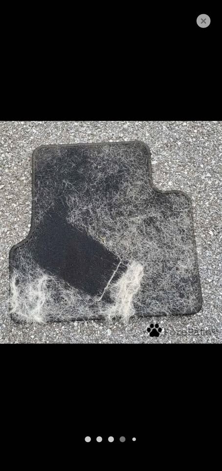 PurePath Genuine Pet Fur Removal Glove - photo 4