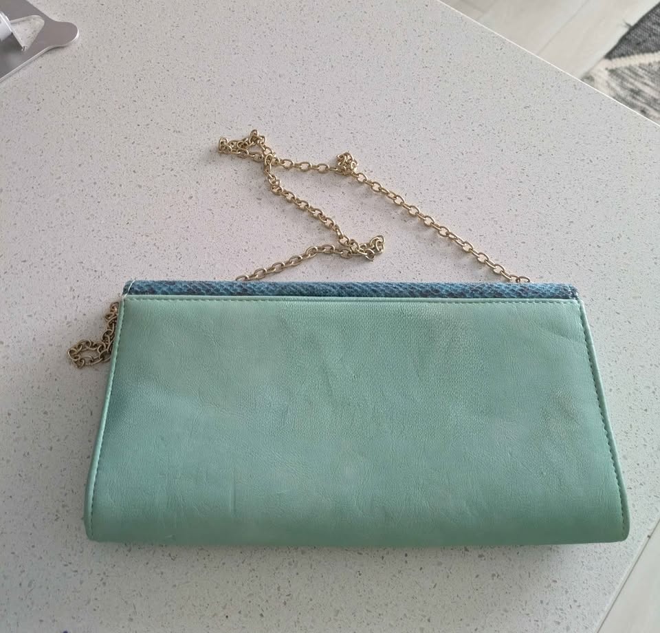 Aldo Snakeskin Clutch - photo 2