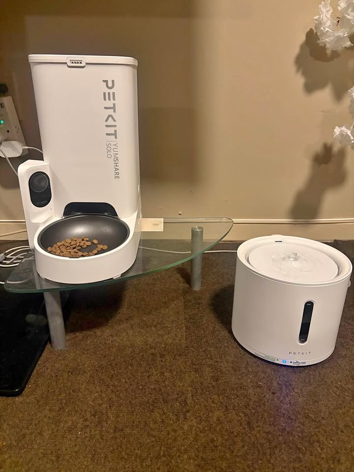 Automatic feeder and water fountain for pets