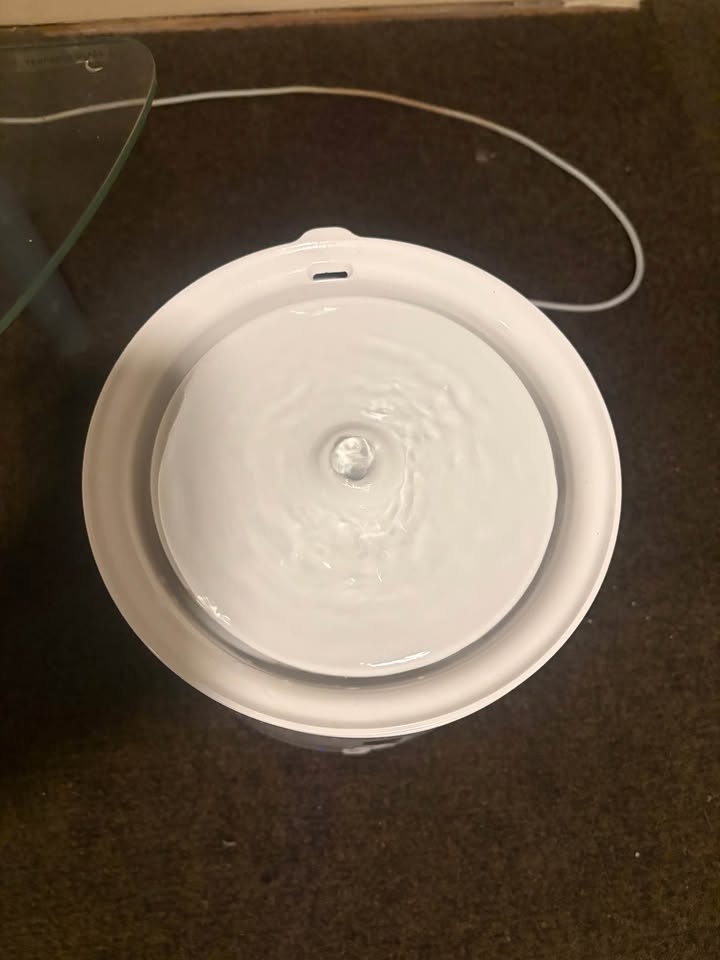 Automatic feeder and water fountain for pets - photo 4