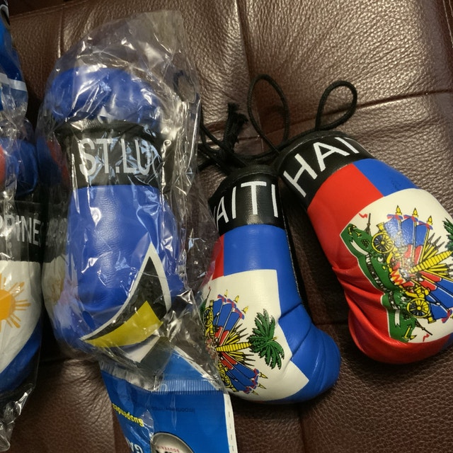 Brand NEW — Mini Boxing Gloves — Philippines, Haiti, Guyana - photo 3