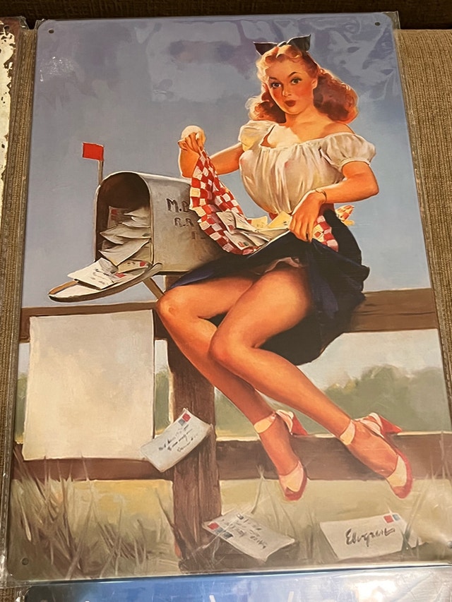 Pinup Girl Metal Signs $10 each Vintage-Style Retro 8”x12” - photo 3