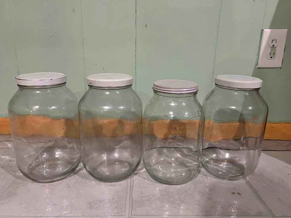 Glass Jars for SALE!!!!!