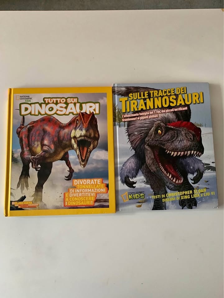 Set of two books in Italian