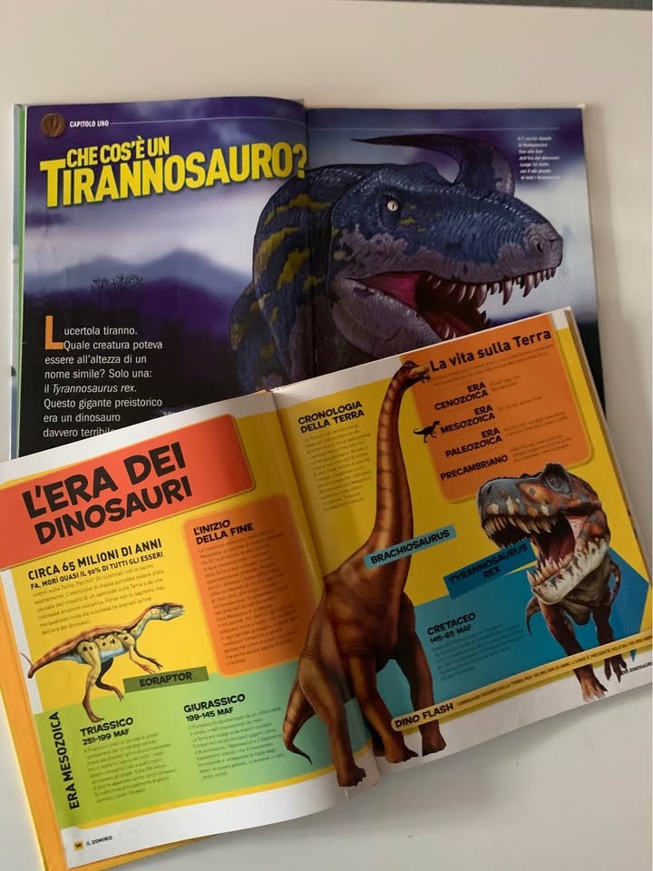 Set of two books in Italian - photo 3