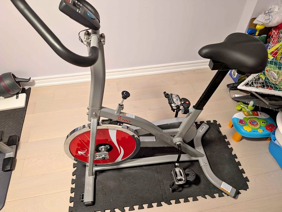 Sunny Exercise Bike