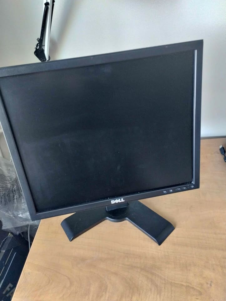 Dell 19" Monitor with cables.