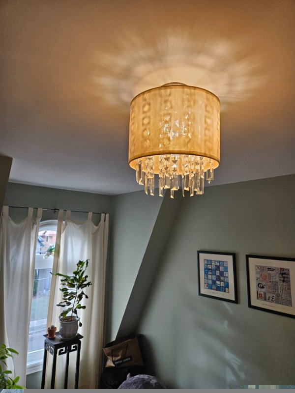 Ceiling Light - photo 3