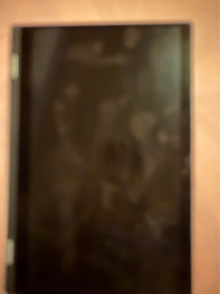 Dell 2-in-1 Laptop - photo 5