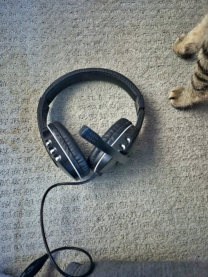 PC Headset w/ mic