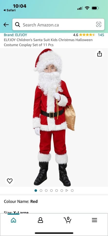 Santa Suit