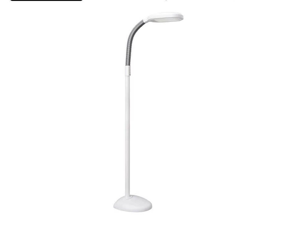 Floor Lamp with Adjustable Brightness