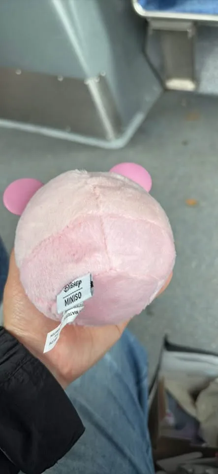 Miniso Fun crash Mickey 🥕 image indicator(2)