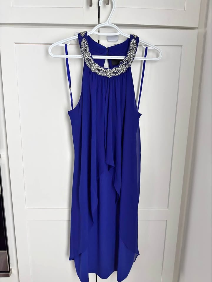 Bluish purple dress