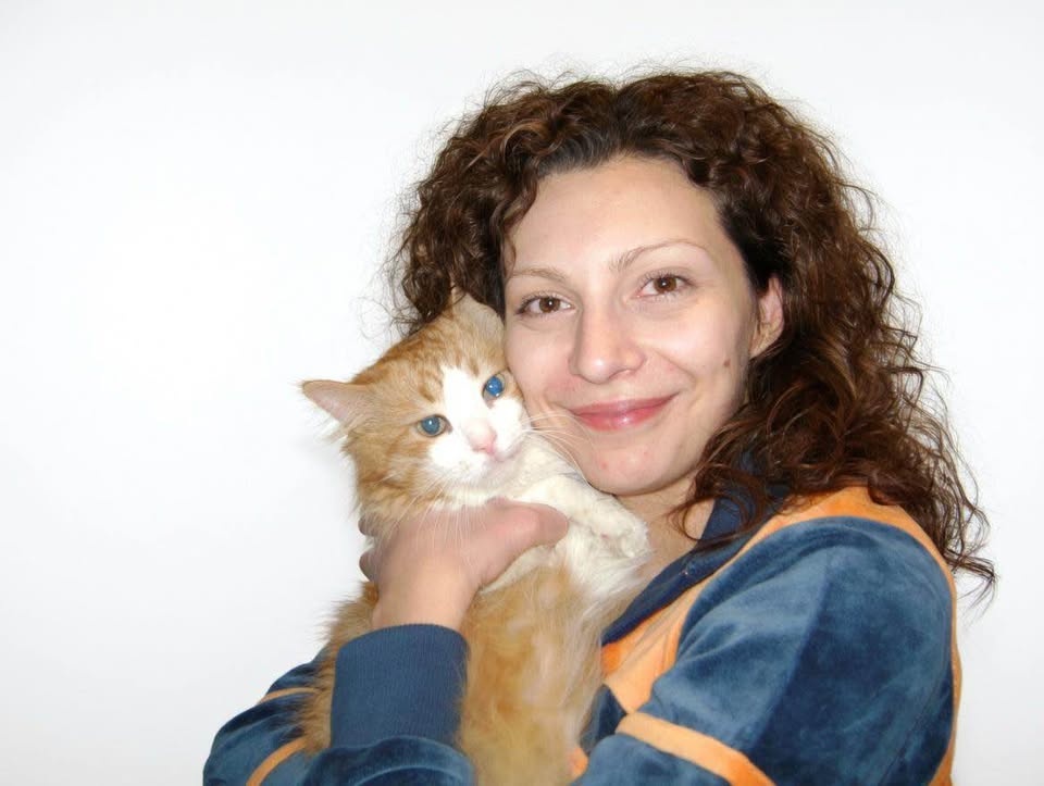 Affordable, Gentle Cat Sitting in Calgary - photo 2