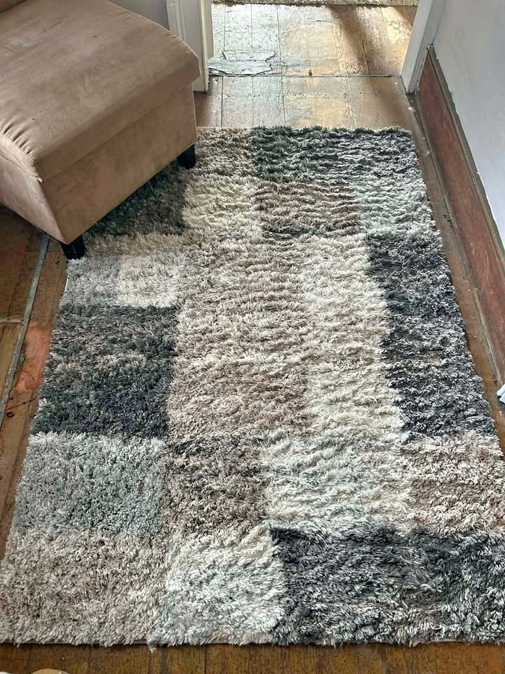 Area Rug Pet Free Smoke Free