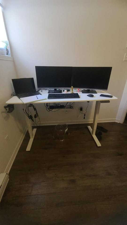 Large 55 inch Electric Standing Desk - photo 3