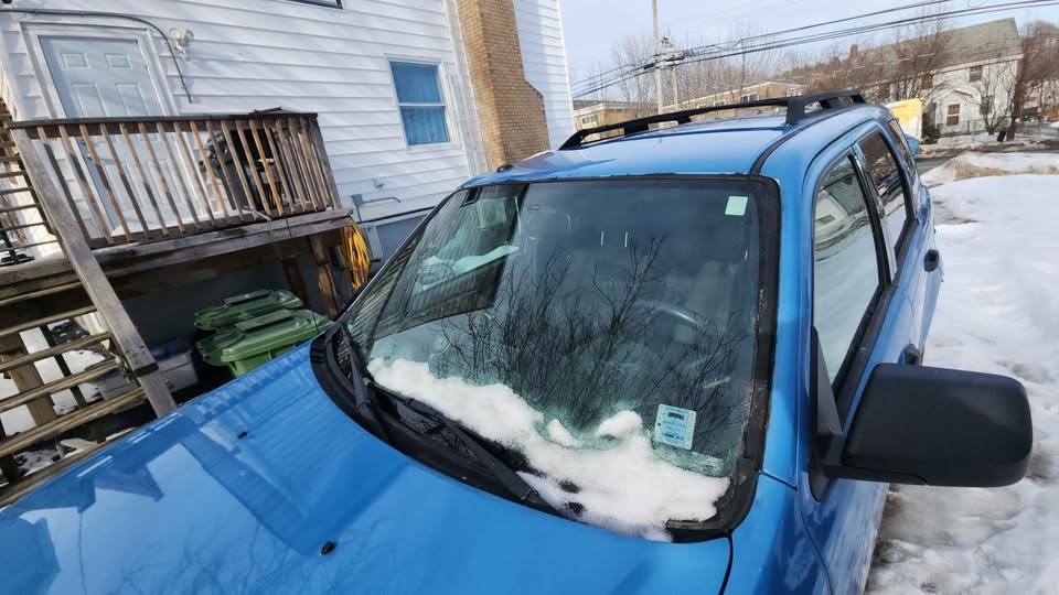 2012 Ford Escape XLT 4WD - photo 2
