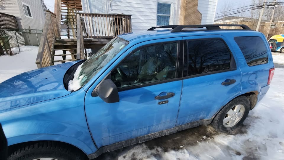 2012 Ford Escape XLT 4WD - photo 3