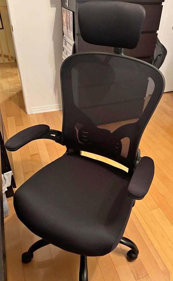 Ergonomic Office Chair