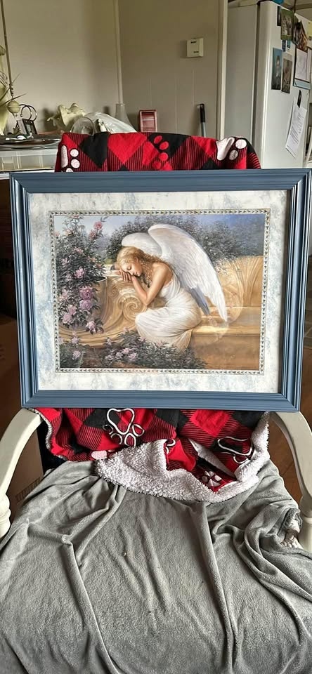 Angel picture