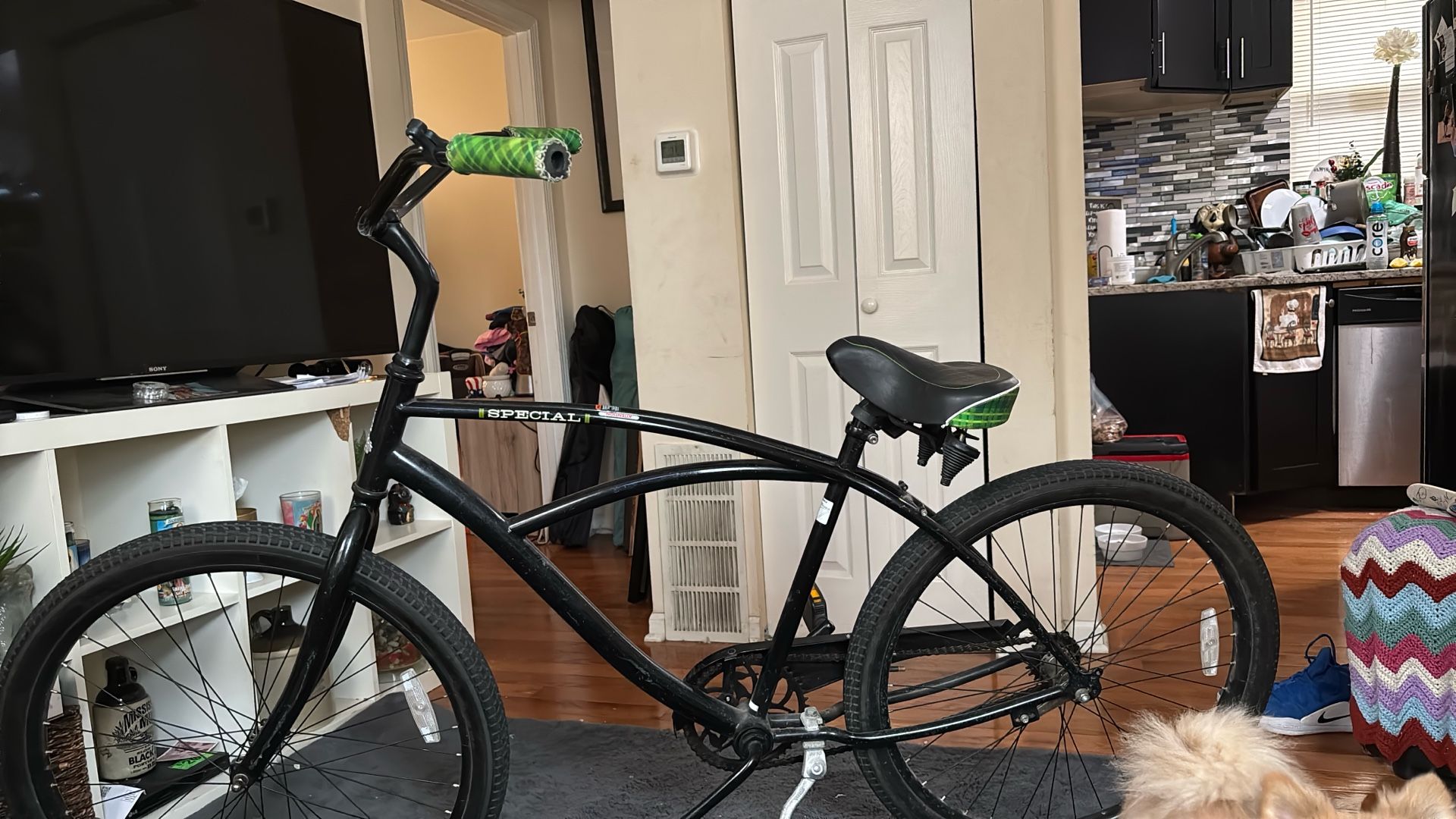 Raleigh Beach Cruiser Special Edition