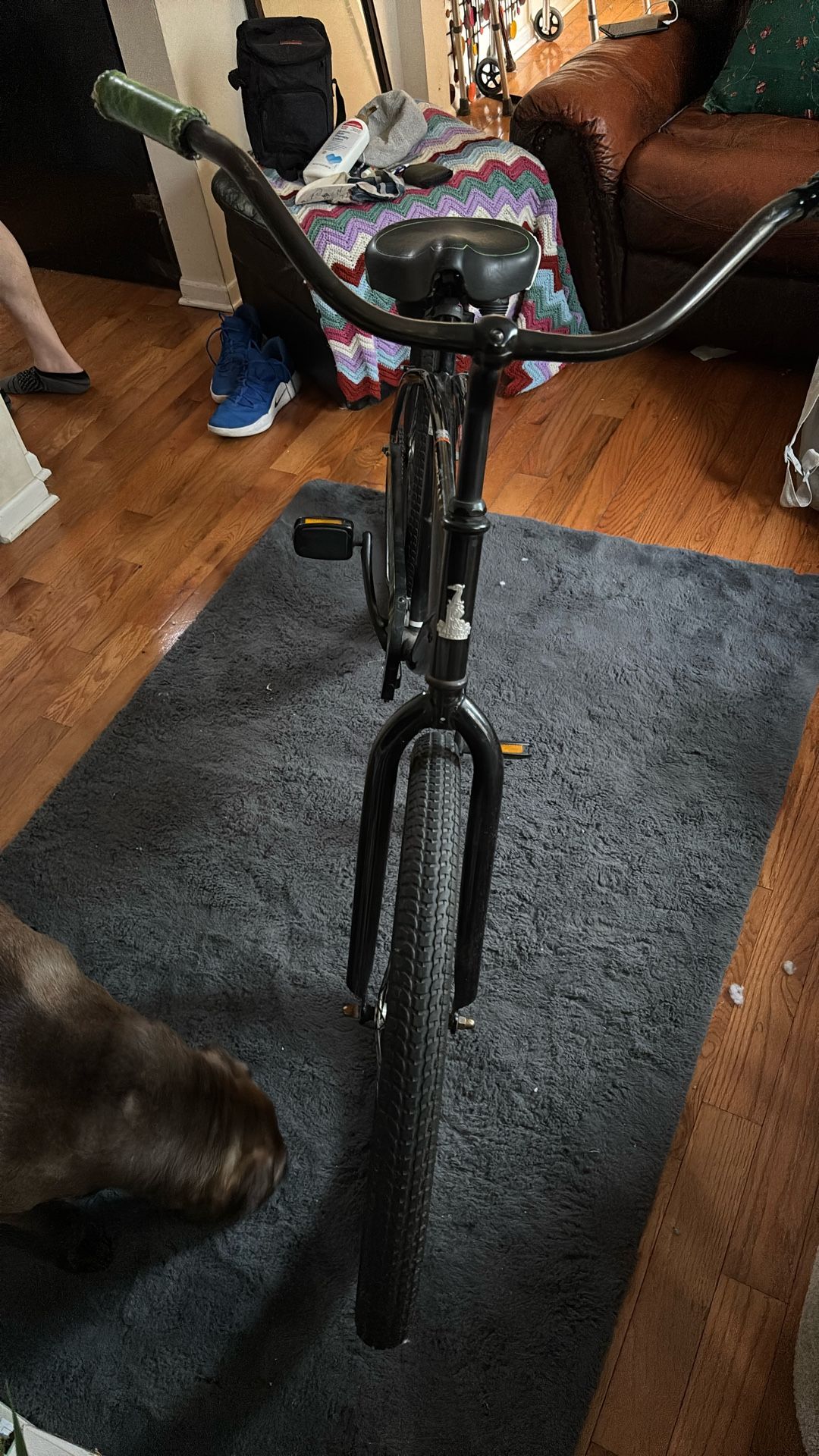 Raleigh Beach Cruiser Special Edition - photo 5