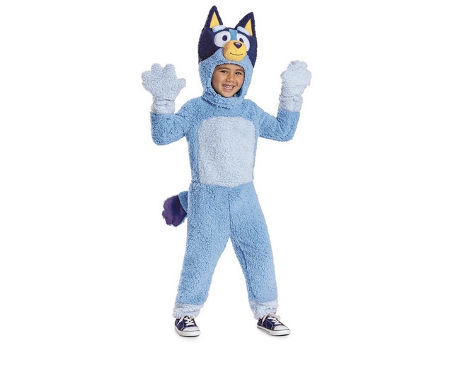 Brand New Disguise Bluey Kids Party Costume