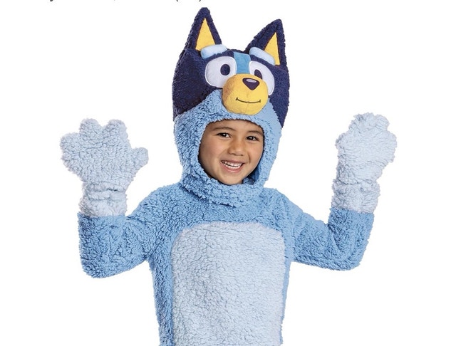 Brand New Disguise Bluey Kids Party Costume - photo 2