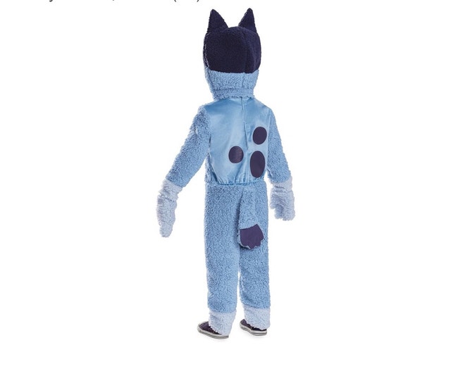 Brand New Disguise Bluey Kids Party Costume - photo 3