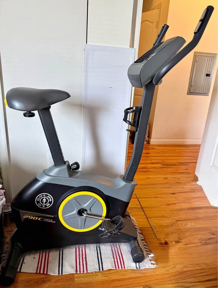 Gold’s Gym 290C Cycle Trainer Exercise Bike