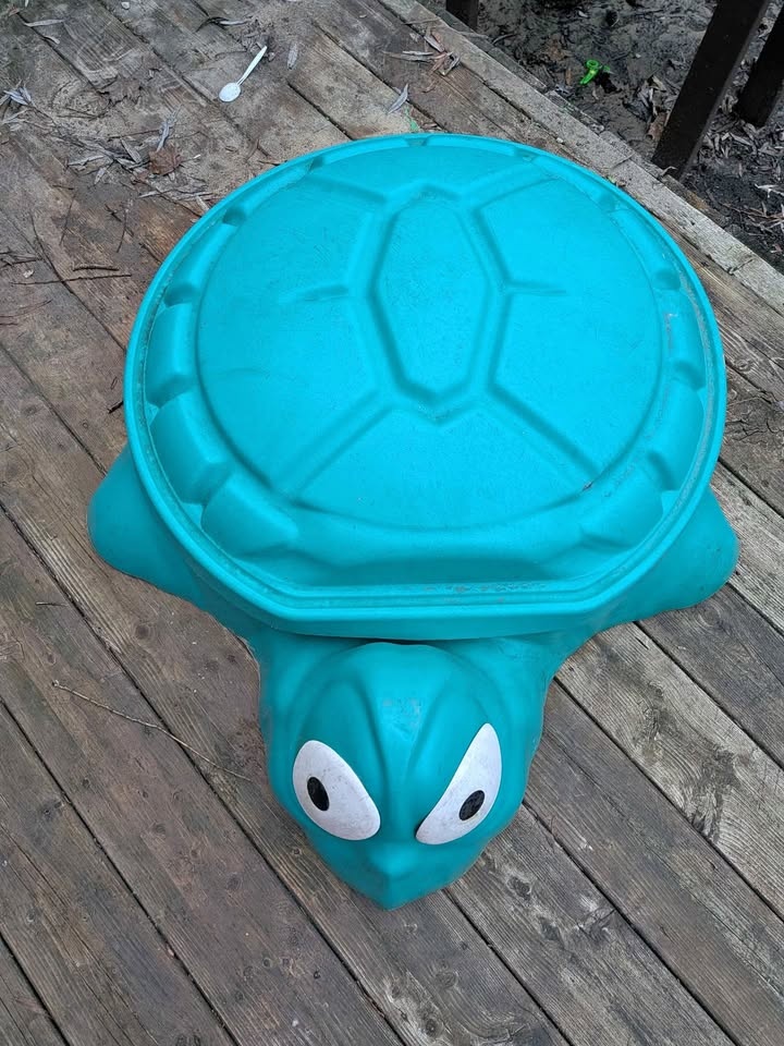 Splashtime Green turtle sandbox with lid for kids