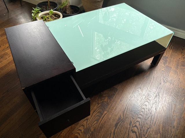 Modern Wood and Glass Coffee Table
