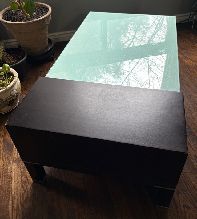 Modern Wood and Glass Coffee Table - photo 4