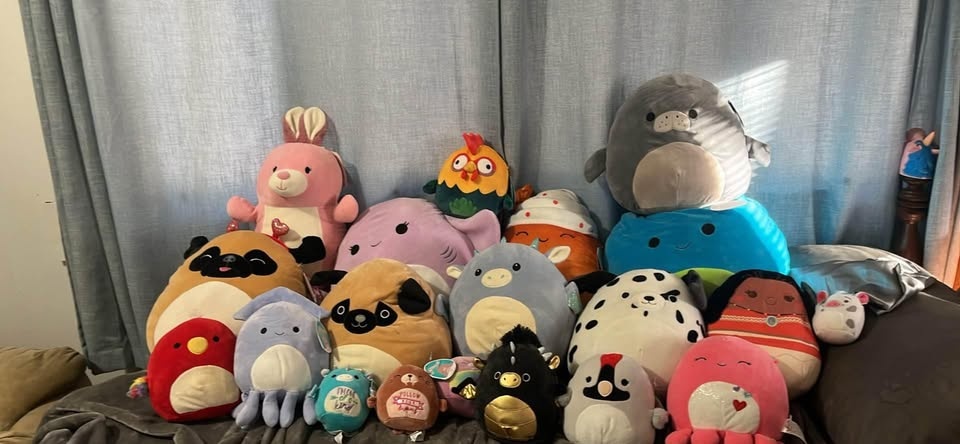 Squishmallows Lot!